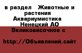  в раздел : Животные и растения » Аквариумистика . Ненецкий АО,Великовисочное с.